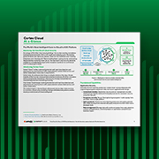 Cortex Cloud de un vistazo