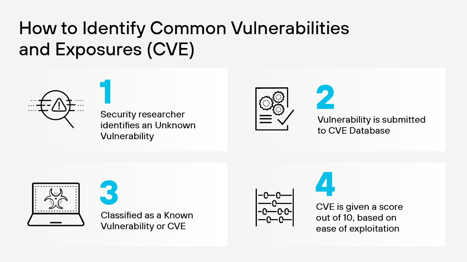 Proceso de identificación de la CVE Proceso de identificación de la CVE